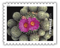 USPS Cactus Flower Forever Stamp